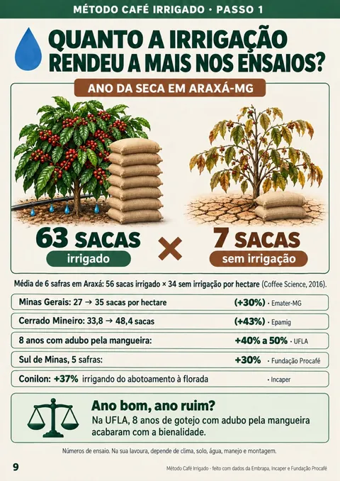 Página que mostra o ano da seca em Araxá: 63 sacas no café irrigado contra 7 no que dependia da chuva