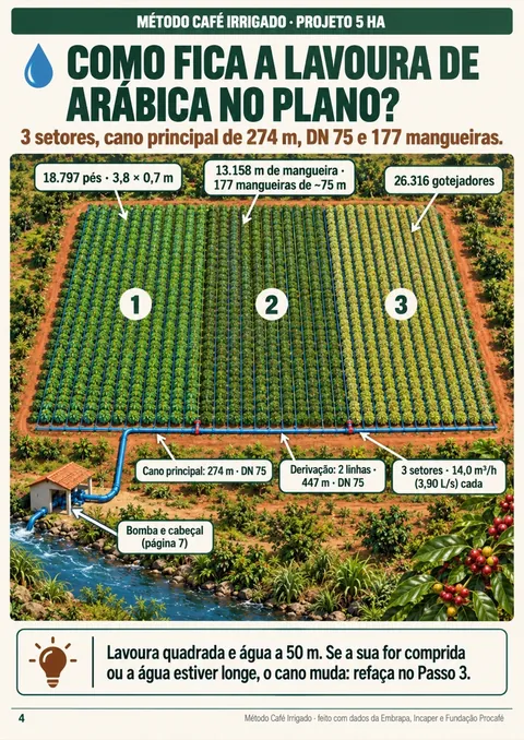Croqui da lavoura de 5 hectares com os setores, o cano principal e as derivações