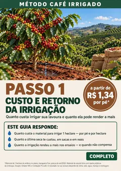 Capa — Custo e retorno da irrigação