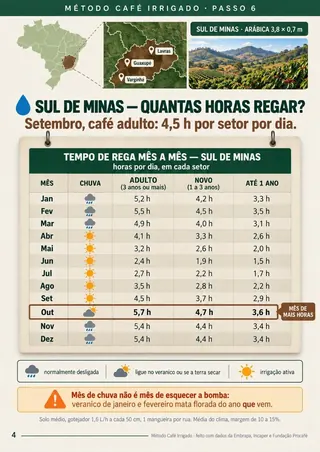 Tabela de horas de rega mês a mês no Sul de Minas, para café adulto, novo e de até 1 ano