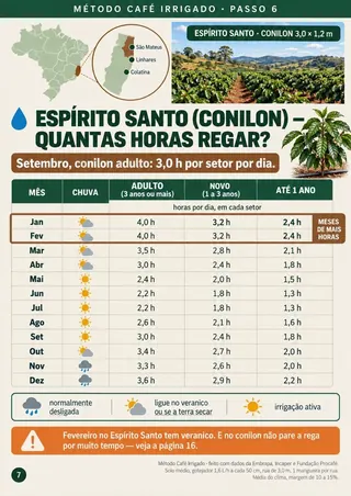 Tabela de horas de rega mês a mês do conilon no Espírito Santo